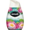 Renuzit Adjustables Air Freshener, After the Rain Scent, 7 oz Solid, PK12 DIA 03663 - alternate 2